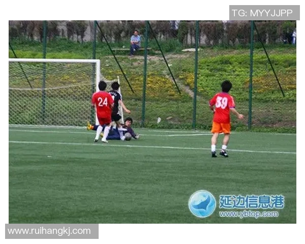 高清足球明星群像大集合展现球场风采与激情瞬间 高清足球明星群像大集合展现球场风采与激情瞬间